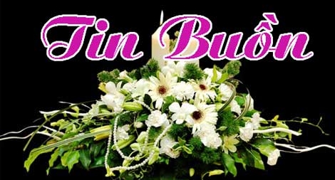  Thiếu tướng Đỗ Đức Pháp từ trần