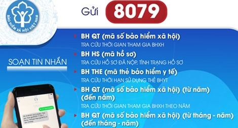 Từ tháng 8-2019, chỉ sử dụng đầu số 8079 trong tra cứu Bảo hiểm xã hội, Bảo hiểm y tế