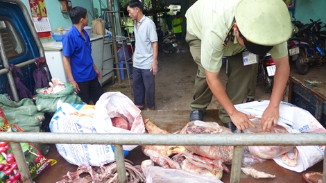 Kho đông lạnh chứa gần 800kg thịt động vật bẩn