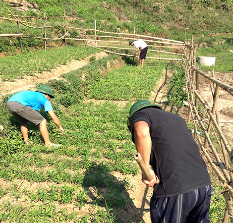 "Hoàn lương" từ đảo Long Hội