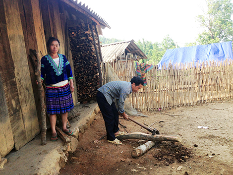 Nỗ lực trong cuộc chiến lâu dài (Kỳ cuối) 