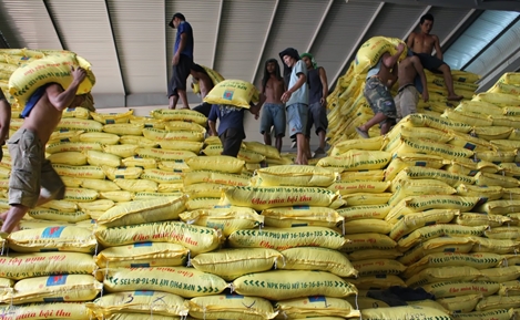 Thủ kho “ăn” hơn 3.700 bao phân