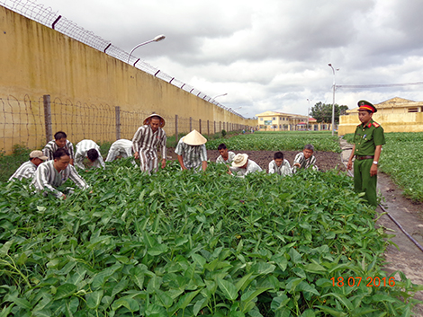 "Bí quyết" cảm hoá lòng người 