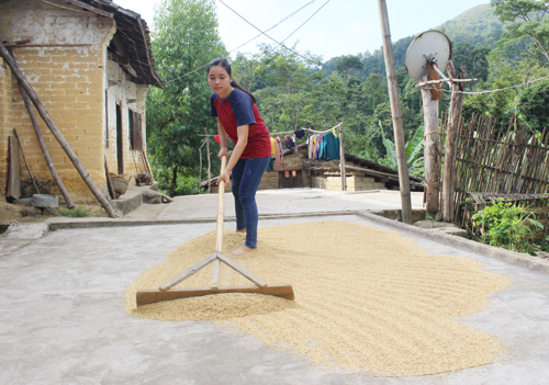Trở thành á khoa khối C sau 1 năm trượt Học viện An ninh nhân dân