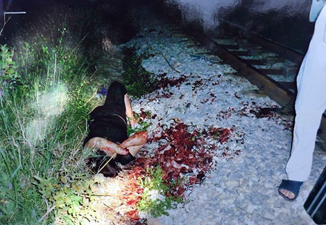 Người phụ nữ "giời đày" thuê người chặt chân tay đòi tiền bảo hiểm