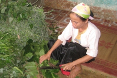 Mục sở thị "thần y" chữa bệnh ung thư bằng thuốc tự chế và niệm thần chú