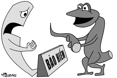 Lát cắt đời thường