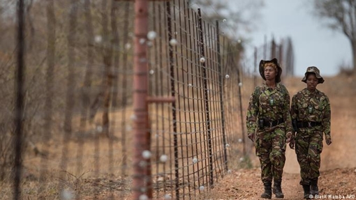 Những "nữ chiến binh" bảo vệ tê giác ở Nam Phi