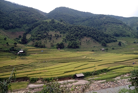 Bí ẩn những ngôi nhà… hoang ở Minh Lương