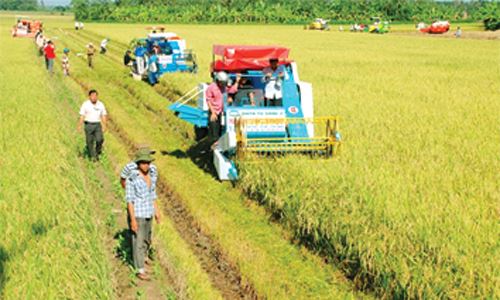Hội thảo về đề án điều tra, đánh giá quá trình tích tụ đất đai ở địa phương