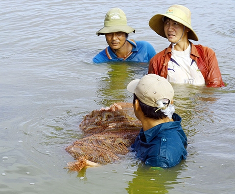 Bạc Liêu phát triển thành “thủ phủ” tôm của cả nước