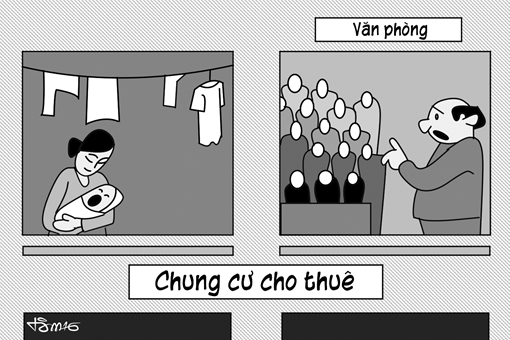 Đã là luật thì phải chấp hành
