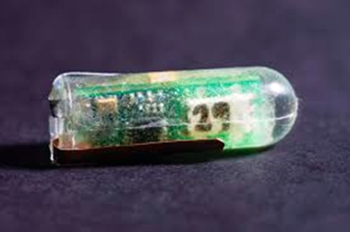 Pin tiêu hóa chạy bằng axit trong dạ dày