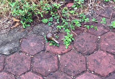 Cặp tình nhân buôn ma tuý ném lựu đạn khi bị truy đuổi