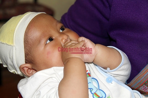 60h nghẹt thở giải cứu bé gái ở Sa Pa bị chiếm đoạt, bán sang Trung Quốc