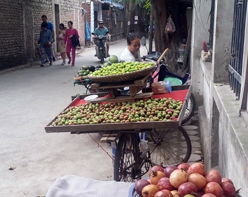 Hoa quả ngoại hút khách dù bán giá “trên trời”