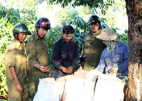 Gian nan bảo hộ thương hiệu cà phê Việt