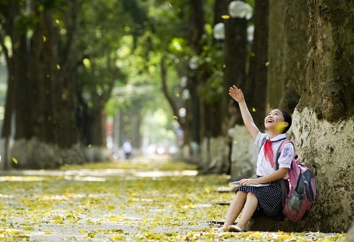 Bắc Bộ có nắng, trời tăng nhiệt