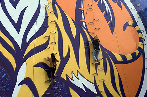 Bức tường “Đánh thức bản lĩnh” thu hút giới trẻ