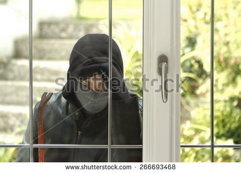 Triệt băng đạo chích gồm 500 phụ nữ châu Âu