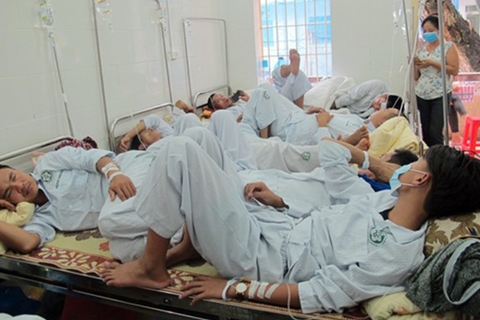 Nhân viên văn phòng ở Hà Nội bị bệnh sốt xuất huyết nhiều nhất