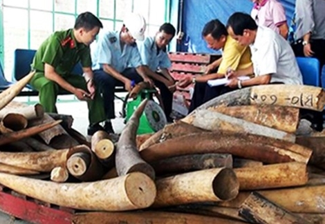 Điều tra, xử lý vụ cán bộ Hải quan đánh tráo, chiếm đoạt tang vật