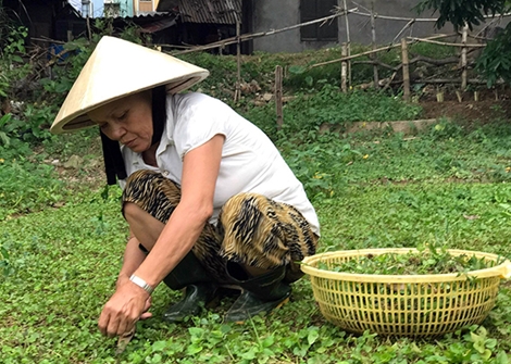 Người phụ nữ chinh phục “hà bá” cứu người