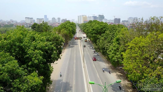 Bắt đầu di dời, chặt hạ hơn 1.000 cây xanh đường Phạm Văn Đồng