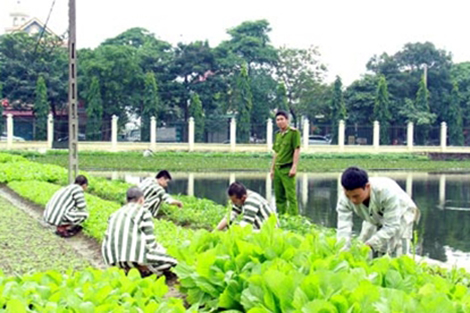 Nữ quản giáo cảm hóa phạm nhân bằng lòng nhân ái