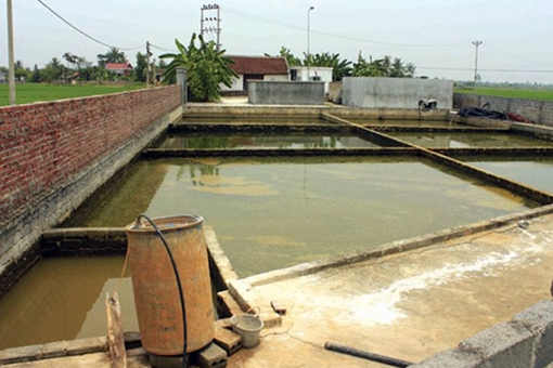 Ngoại thành Hải Phòng mòn mỏi chờ nước sạch