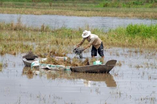 Đồng bằng sông Cửu Long đối mặt với thách thức lớn về nguồn nước