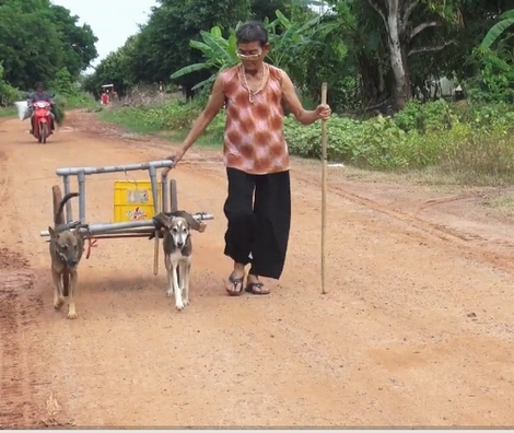 Chuyện cảm động về những cỗ xe chó