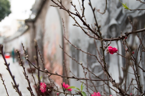 Nhớ về Hà Nội xưa qua phố bích họa Phùng Hưng