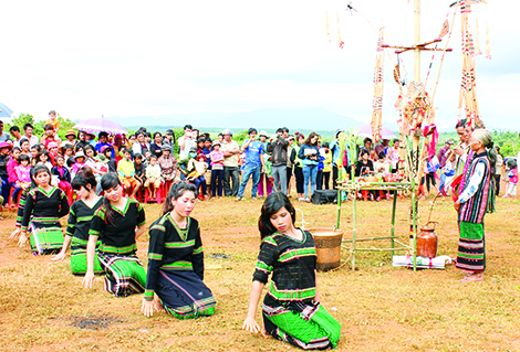 Mùa Xuân ở thung lũng Đá Voi