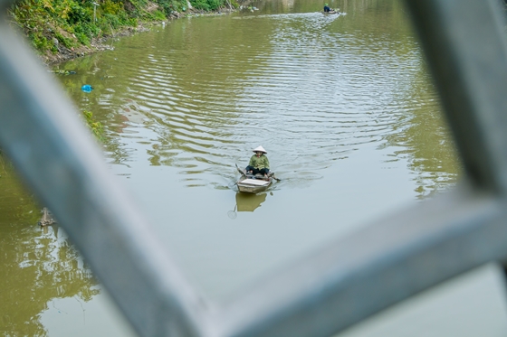 Cá vừa được phóng sinh xuống sông thì bị "chích thủ" bắt lại