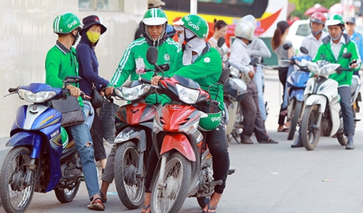 Nhiều cử nhân thất nghiệp