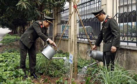 Tổ chức “Tết trồng cây đời đời nhớ ơn Bác Hồ”