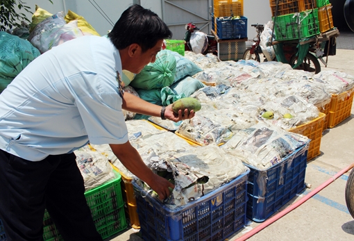 Nông dân điêu đứng vì… xoài keo nhập lậu