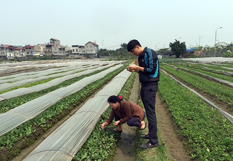 Bao giờ giải được bài toán thực phẩm sạch?