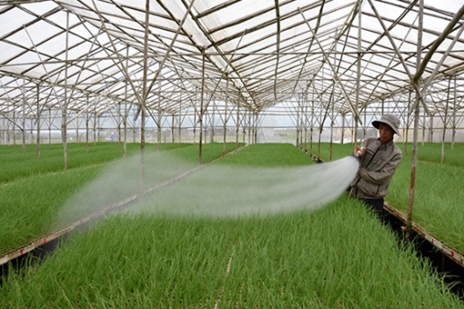 Cơ hội vàng cho phát triển thực phẩm sạch