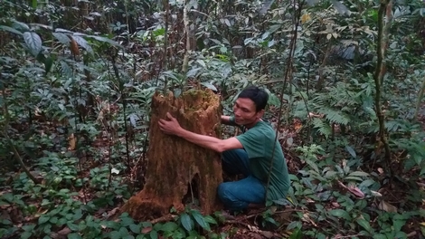 Người dân điêu đứng vì nạn phá rừng ở Đà Bắc