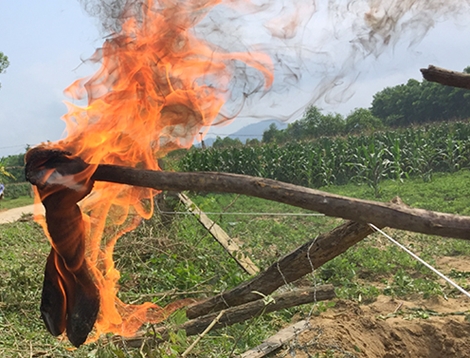 Phát hiện dầu rỉ theo mạch nước ngầm ở Hà Tĩnh