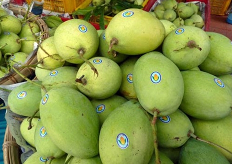 Nông sản Việt: Xây dựng thương hiệu, bắt đầu từ đâu?