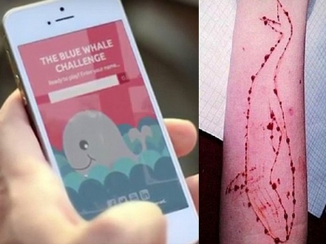 Trào lưu nguy hiểm “Thử thách cá voi xanh”: Cần ngăn chặn từ khi còn manh nha