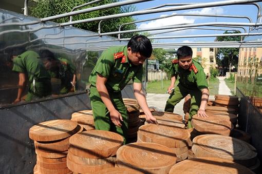 Lâm tặc và đầu nậu nhởn nhơ vì “giơ thấp đánh khẽ”