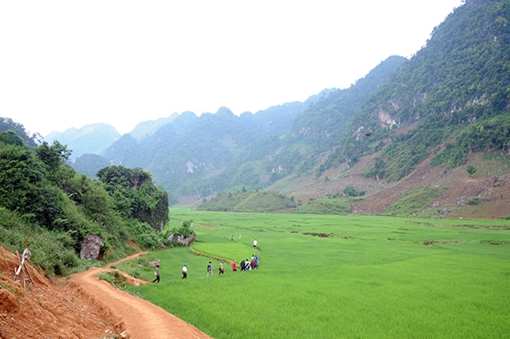 “Máu” rừng nghiến thượng nguồn sông Đà vẫn không ngừng chảy