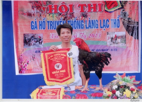 Độc đáo cuộc thi “hoa hậu gà” làng Lạc Thổ