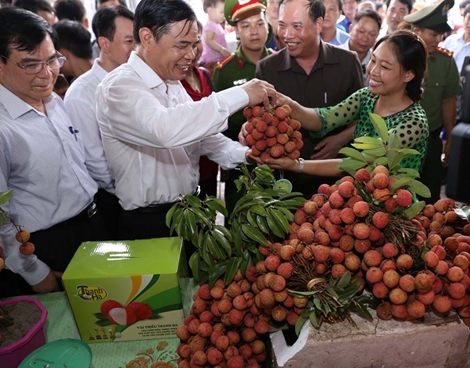 Nông sản Việt Nam đã chinh phục các thị trường “khó tính”
