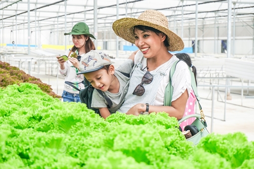 Hào hứng “làm nông dân” trong chương trình “Hành trình Tương lai xanh”