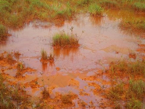 Ám ảnh ngôi làng gần nửa thế kỷ dùng nước nhiễm xăng